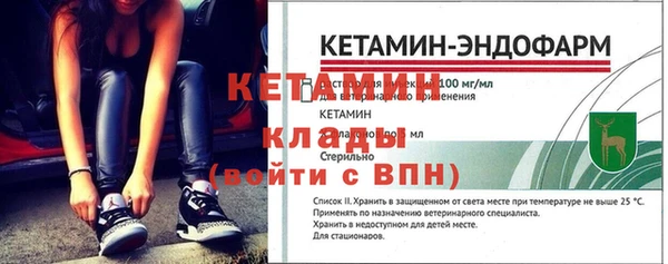 прущие грибы Заволжск