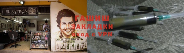 прущие грибы Заволжск
