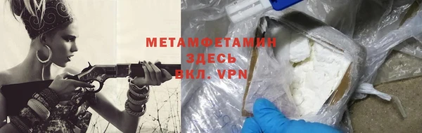 прущие грибы Заволжск