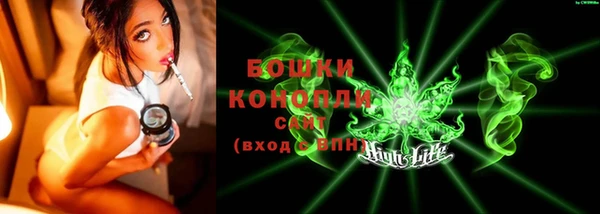 прущие грибы Заволжск