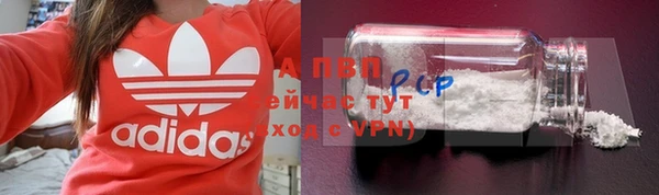 PSILOCYBIN Елабуга