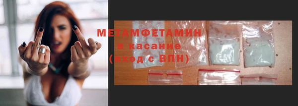 прущие грибы Заволжск