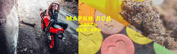 прущие грибы Заволжск