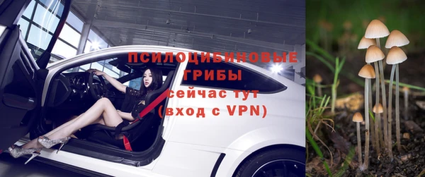 а пвп мука Заводоуковск